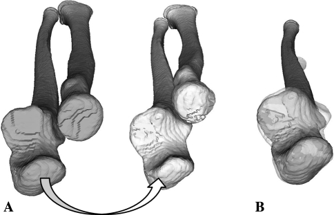 Fig. 1A–B