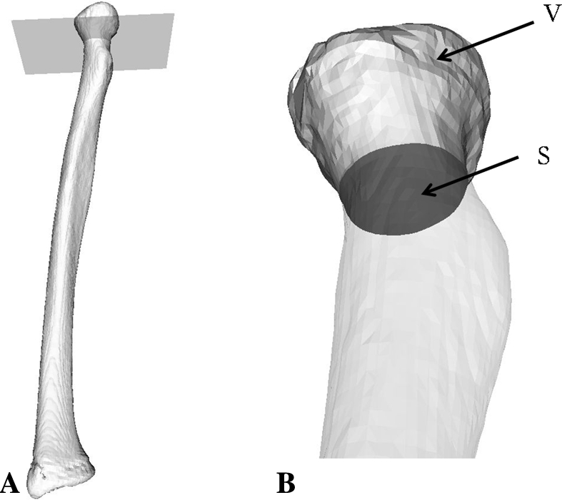 Fig. 5A–B