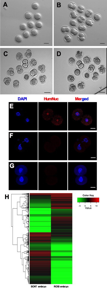 Figure 6