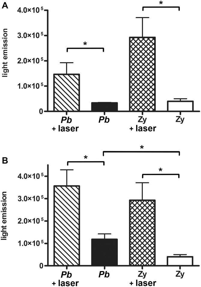 Fig 6