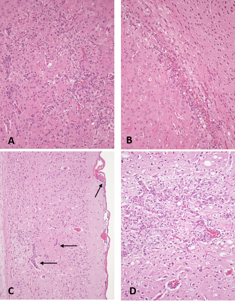 Fig 6