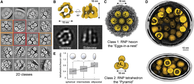 Figure 4