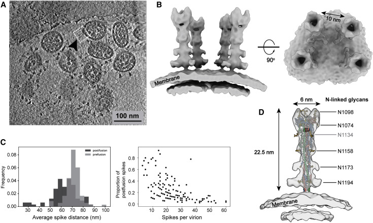 Figure 3