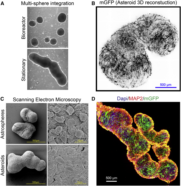 Figure 4