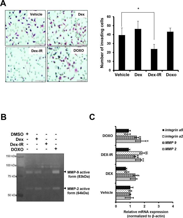 Fig 4