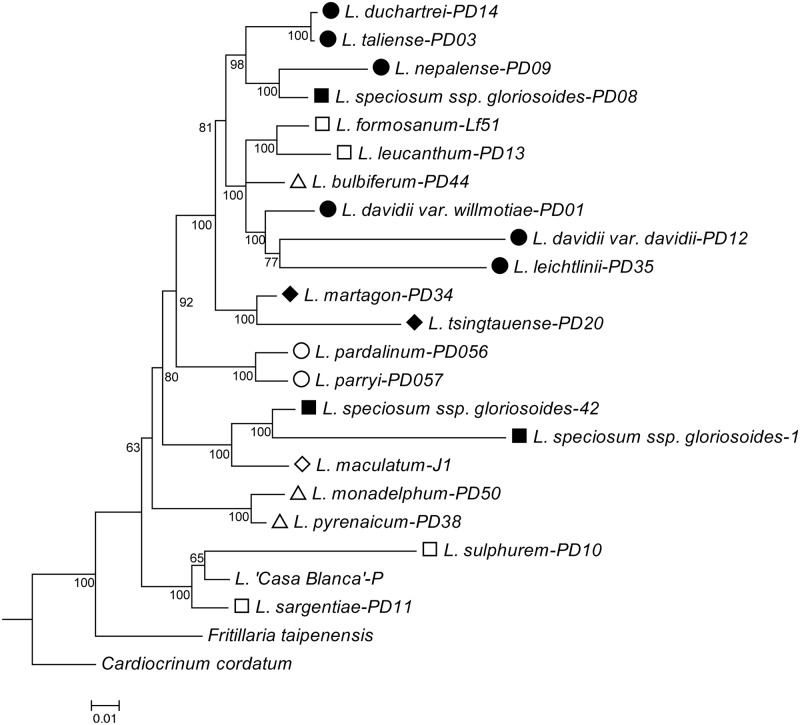 Fig 2