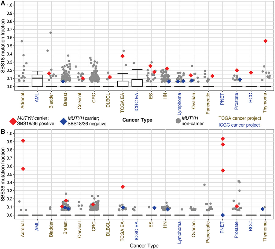 Figure 2: