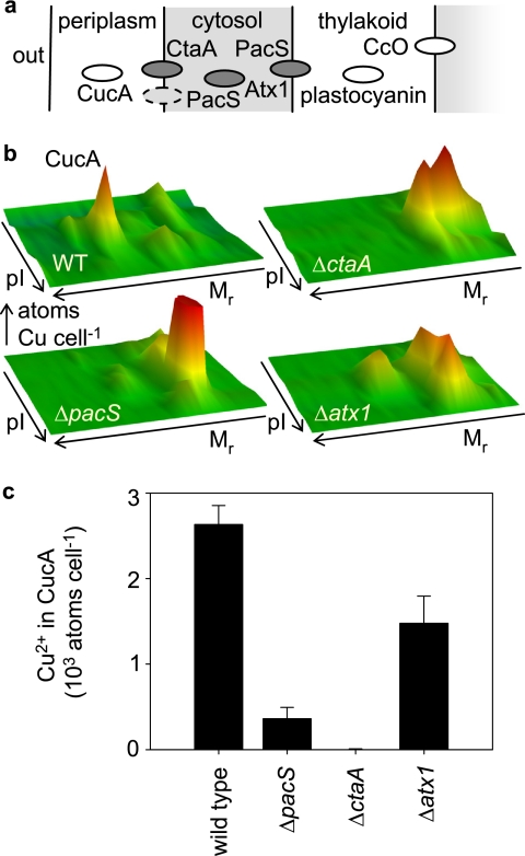 FIGURE 5.