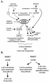 FIG. 8.