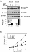 FIG. 7.