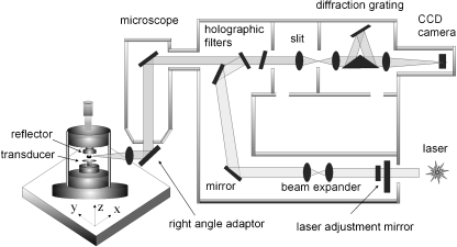 Fig. 1