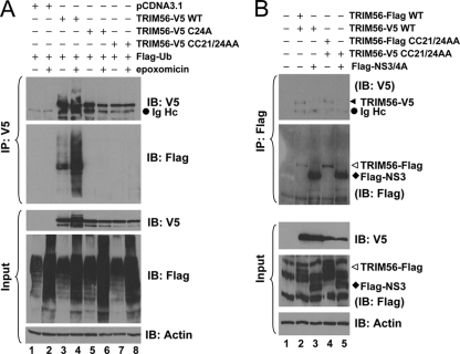 Fig. 3.