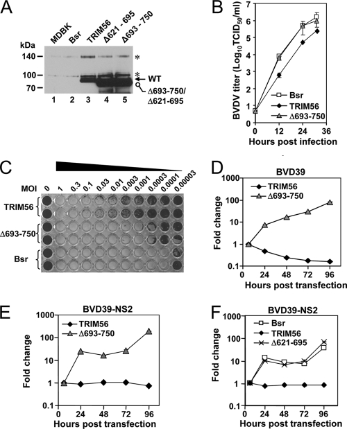 Fig. 8.