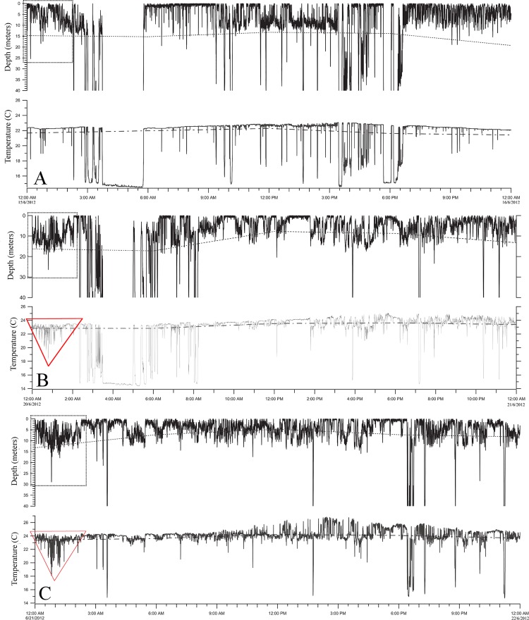 Fig 11