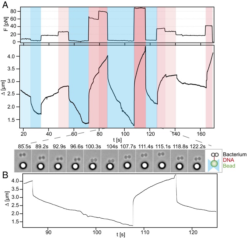 Fig. 3.