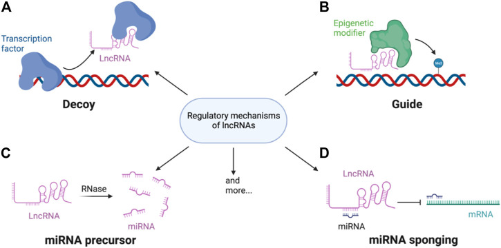 FIGURE 1