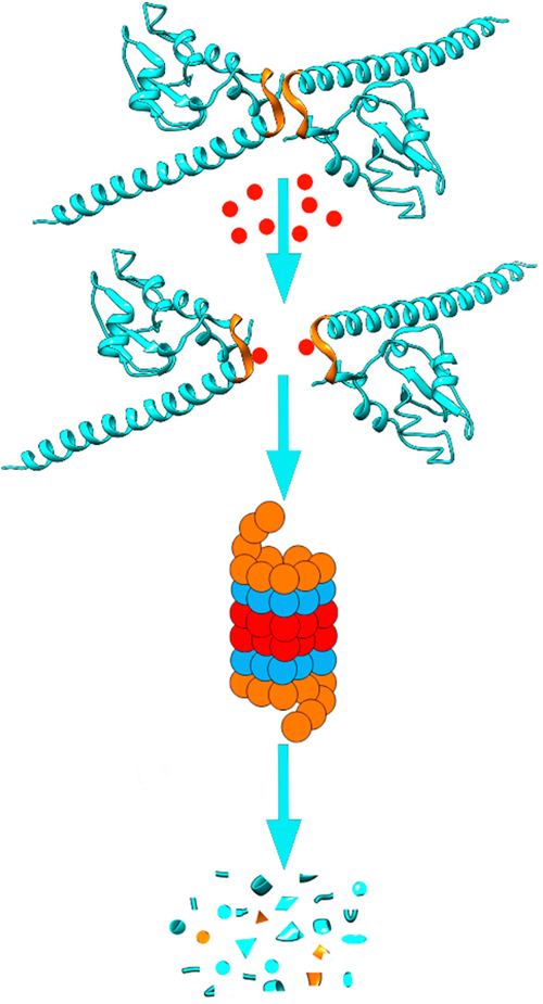 Figure 11.