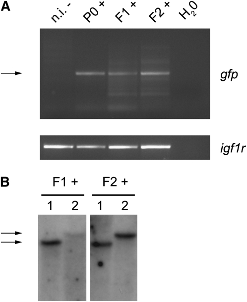 Figure 6 