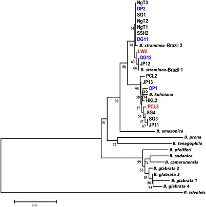 Fig. 6