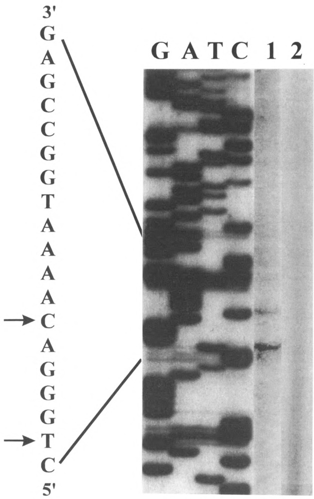 FIG. 6