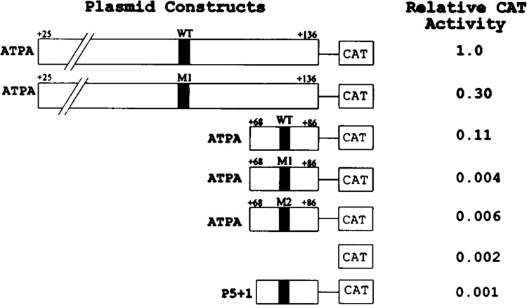 FIG. 5