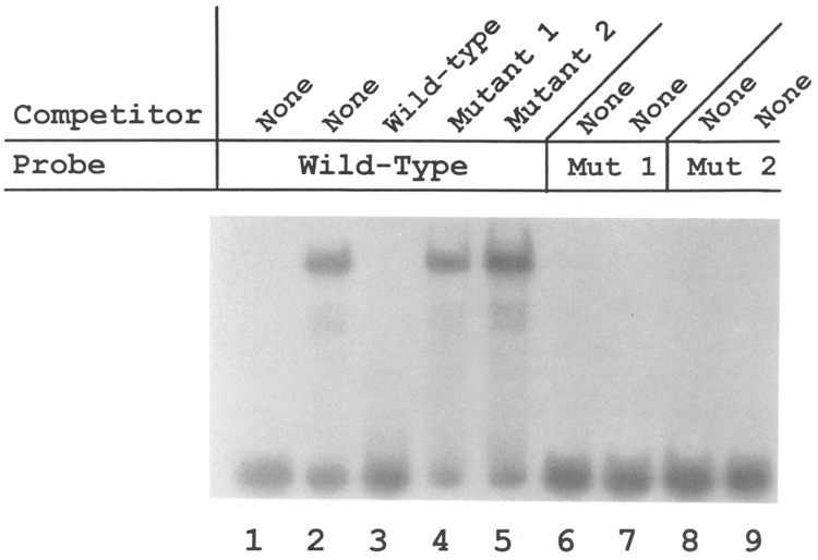 FIG. 7