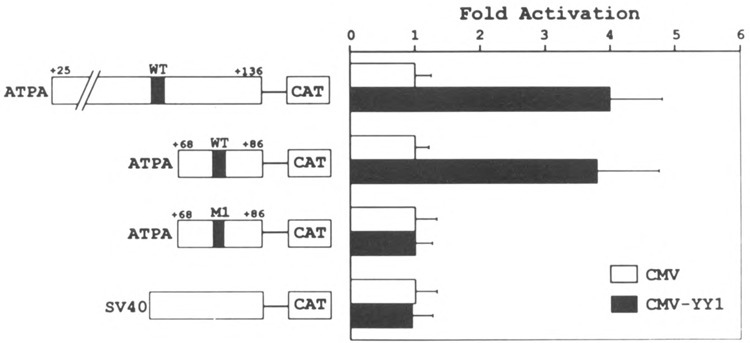 FIG. 8