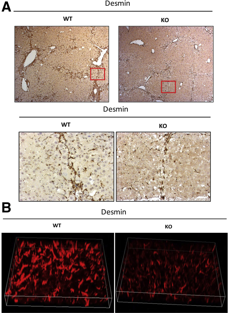 Figure 5