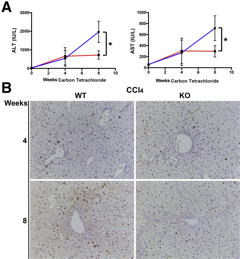 Figure 6