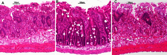 Fig. 5.