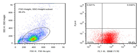 Fig. 3.