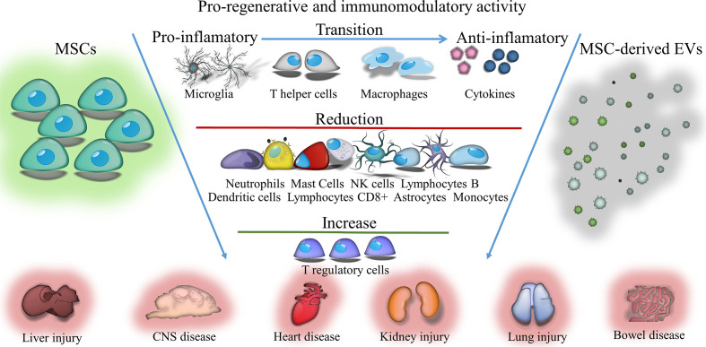 Graphical Abstract