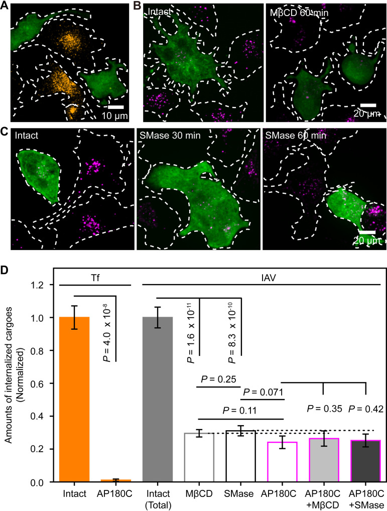 FIG 3