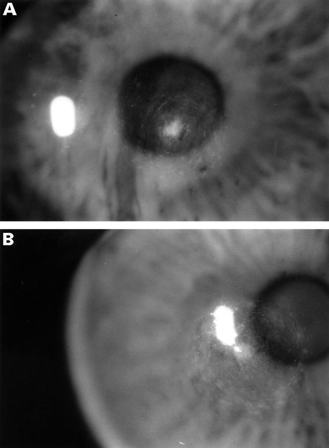 Figure 3  