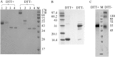 Fig. S4.