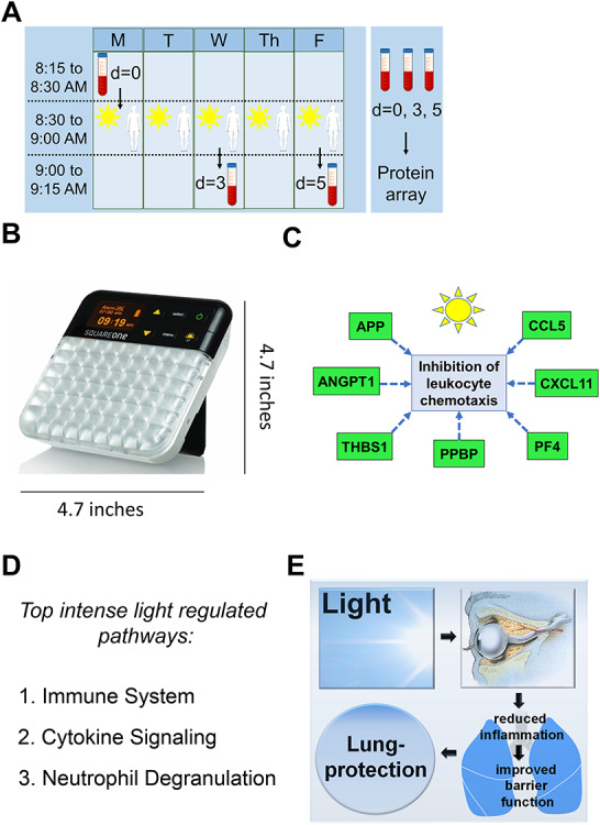 FIGURE 4