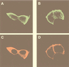 FIG. 8