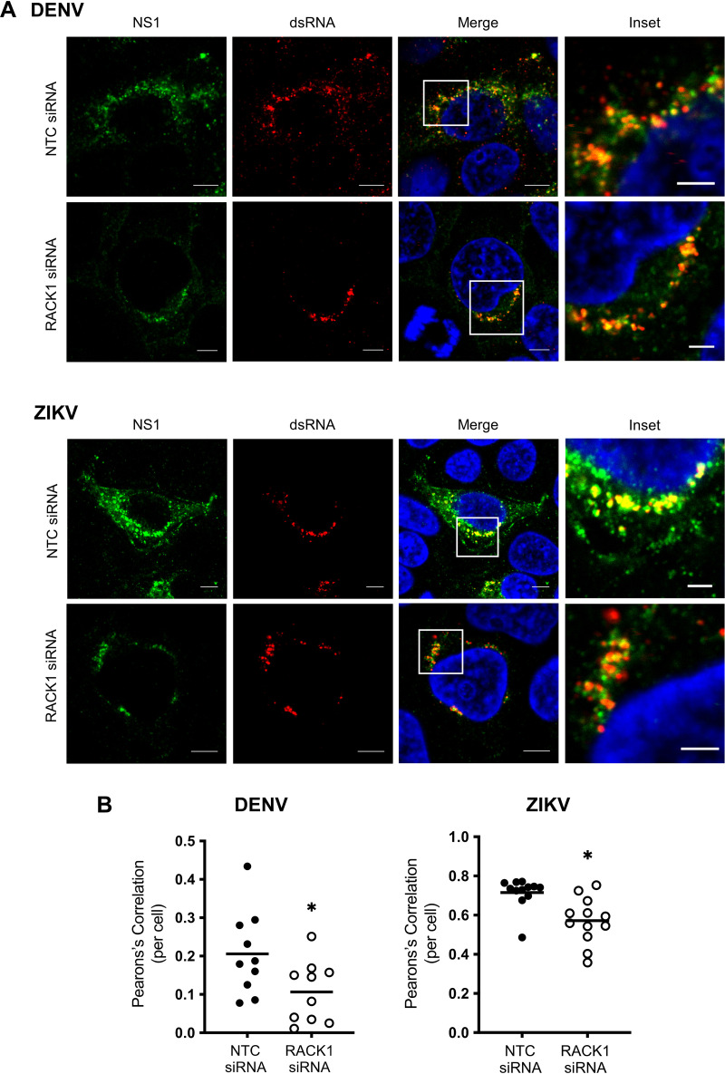 FIG 6