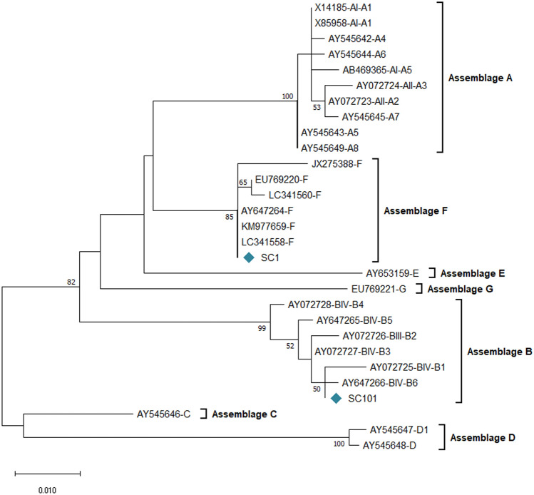 Figure 2