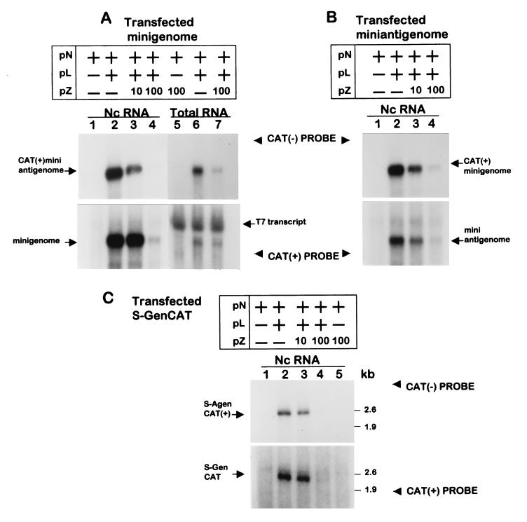 FIG. 6