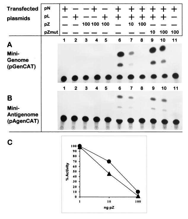 FIG. 4