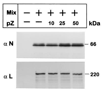 FIG. 7