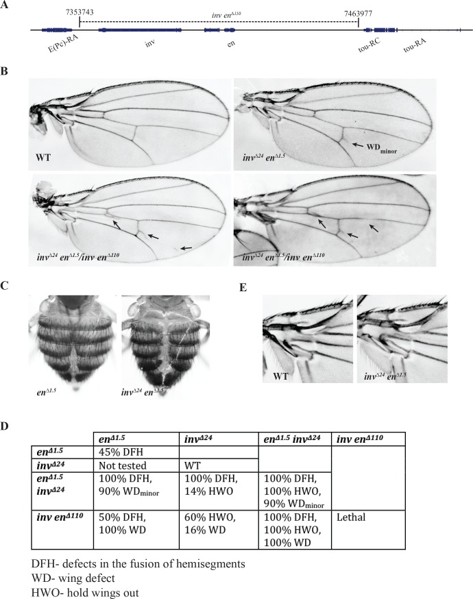 Fig 4