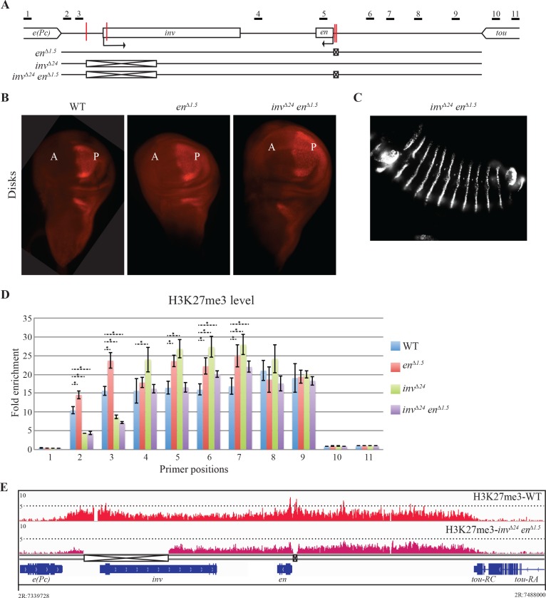 Fig 2