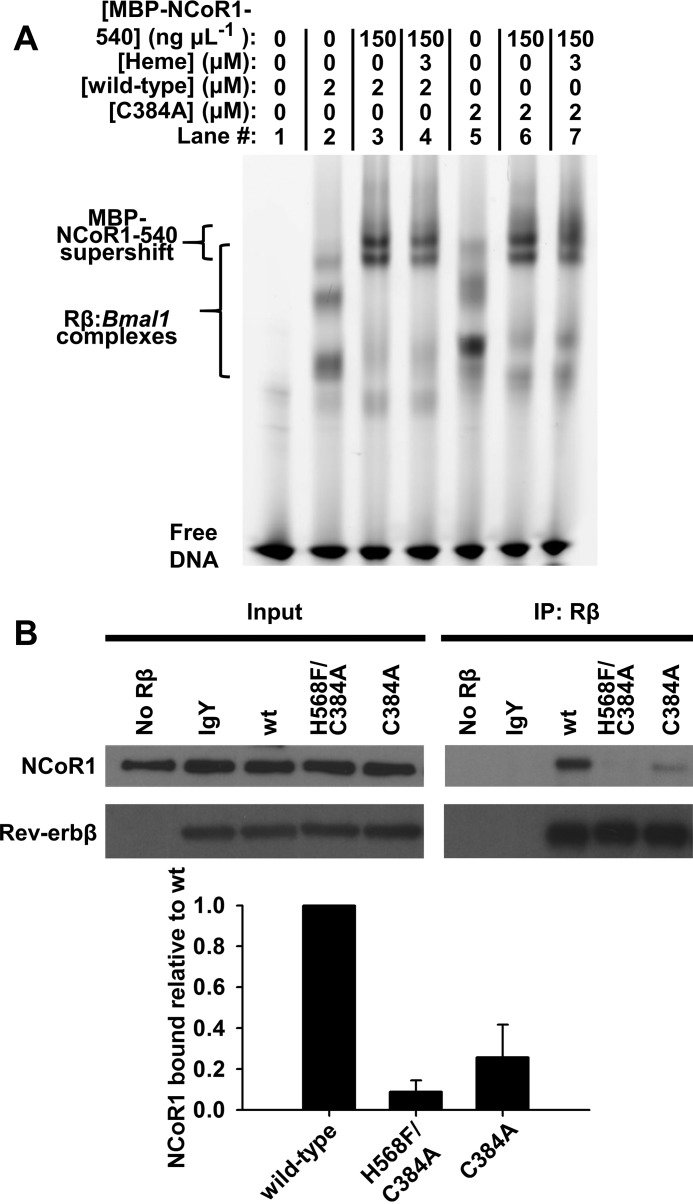 Figure 10.