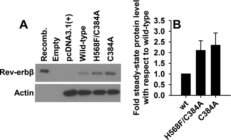 Figure 11.