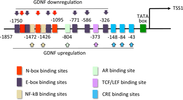 Figure 2: