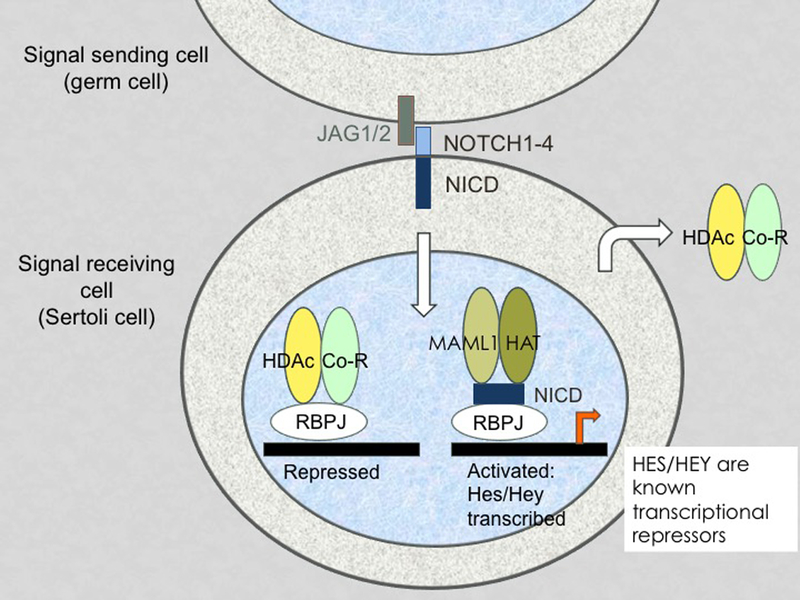 Figure 3: