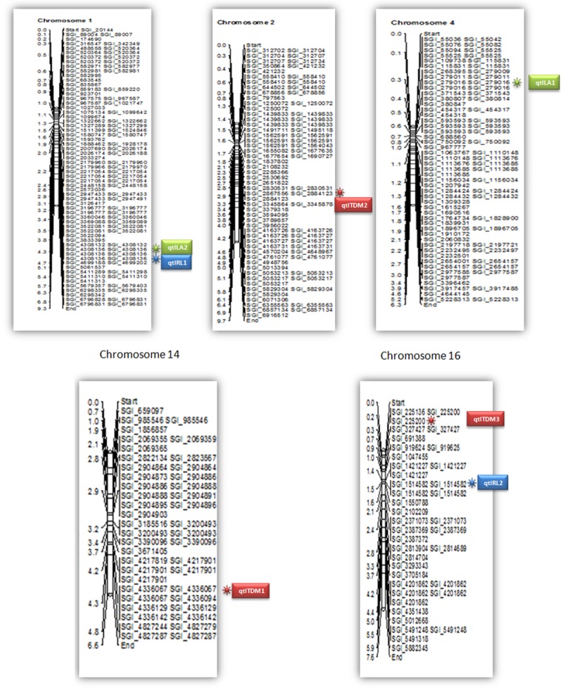 Fig 2