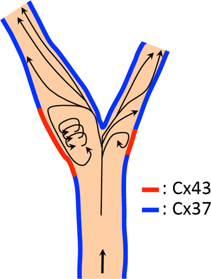 Fig. 2